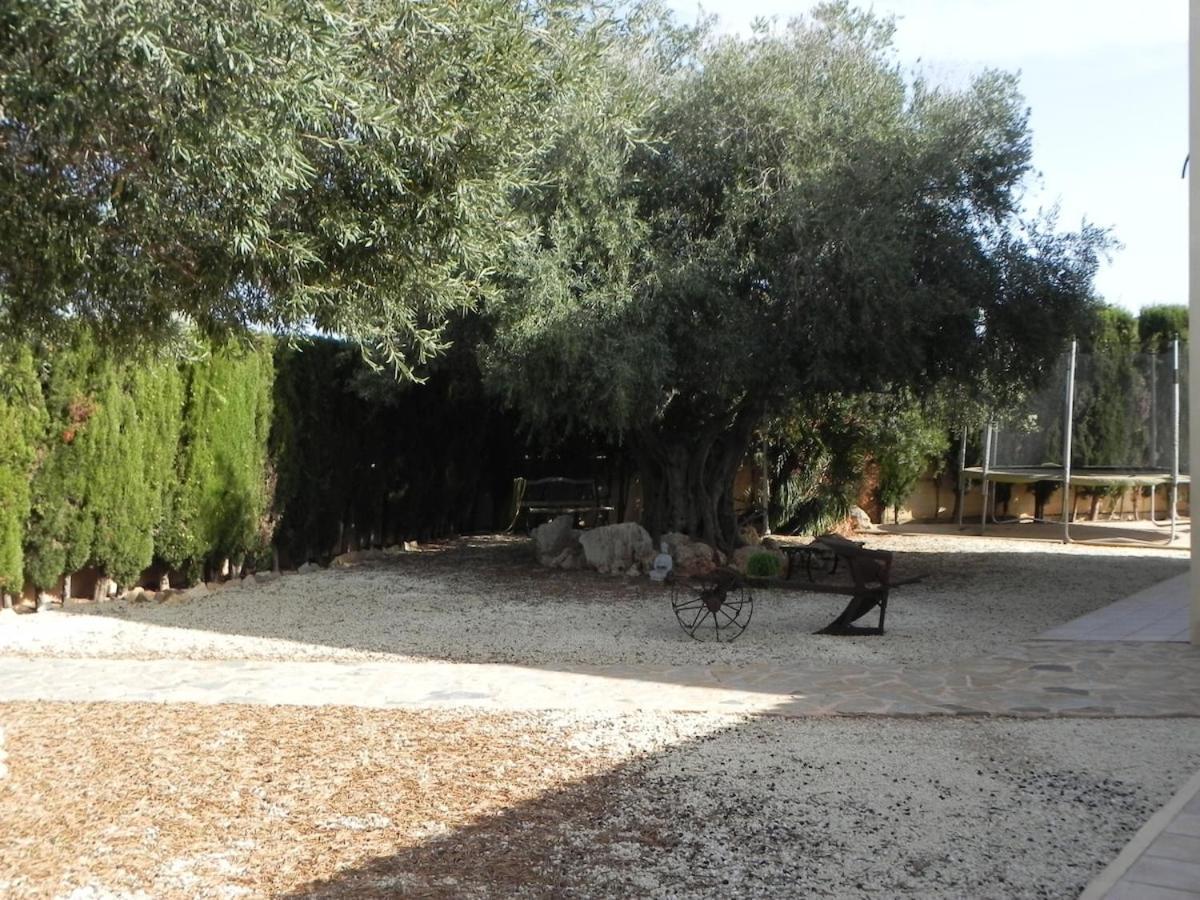 Villa Beautiful With A Pool Mallorca - Sayana Palma de Mallorca